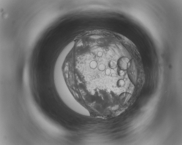 X0000067460765200605051621