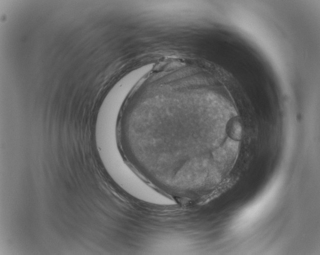 X0000067460766200605051622