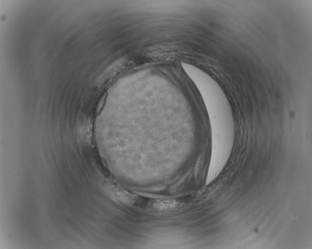 X0000067460767200605051622