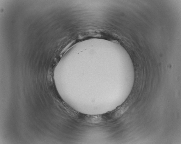 X0000067460768200605051622