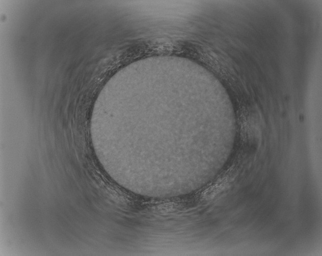 X0000067460769200605051621