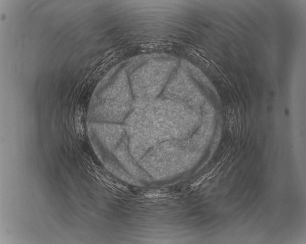 X0000067460770200605051621