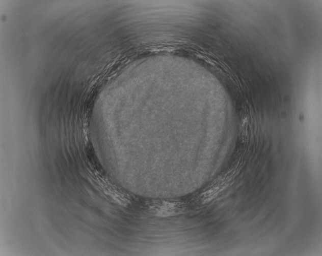 X0000067460772200605051621