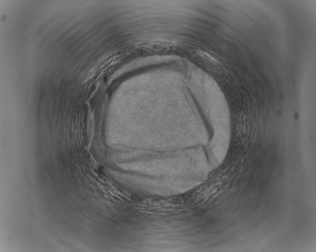 X0000067460774200605051621