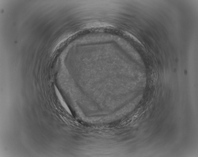 X0000067460775200605051621