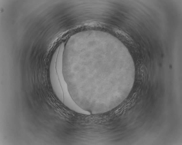 X0000067460776200605051621