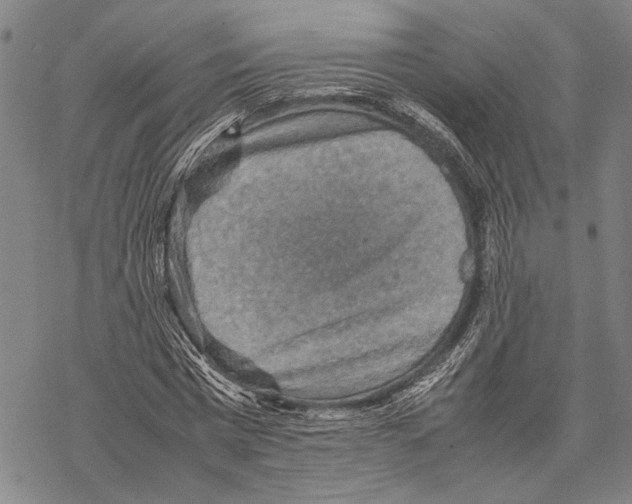 X0000067460777200605051621