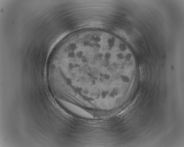 X0000067460780200605051621