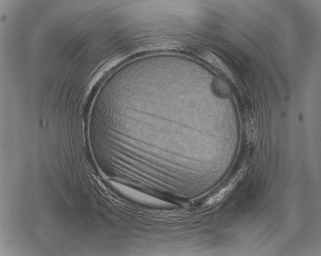 X0000067460781200605051621