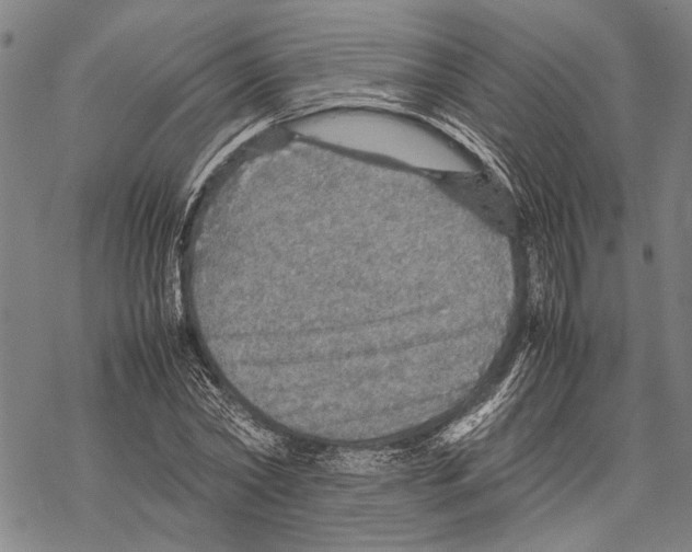 X0000067460782200605051621