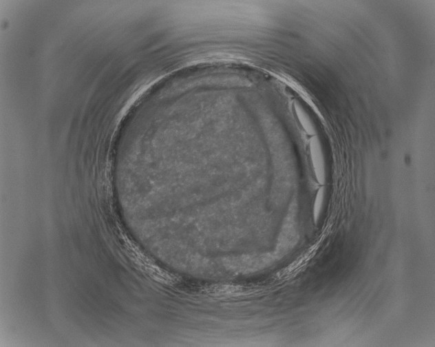 X0000067460783200605051621