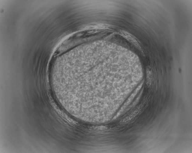 X0000067460784200605051621