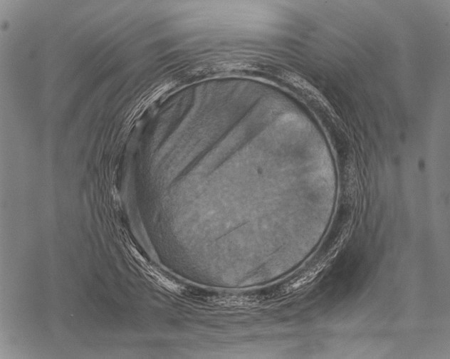 X0000067460785200605051620