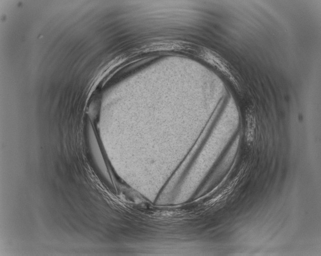 X0000067460786200605051620