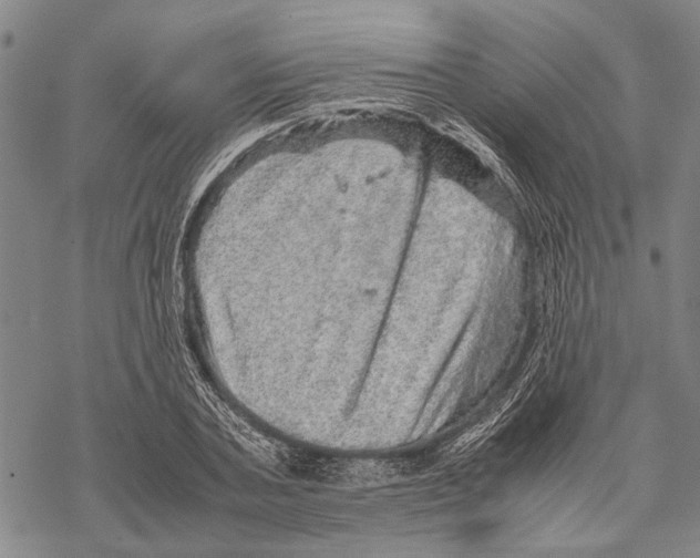 X0000067460787200605051620