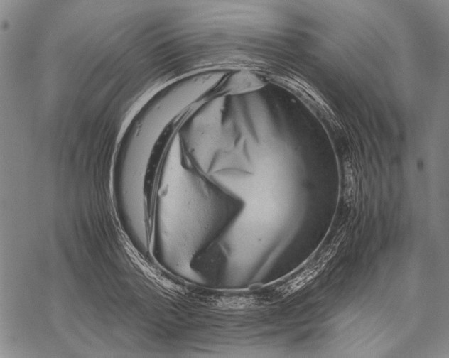 X0000067460788200605051620