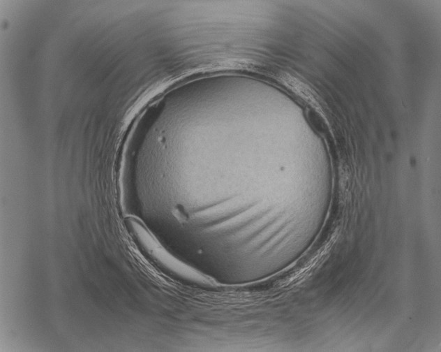 X0000067460789200605051620