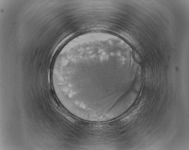 X0000067460790200605051620