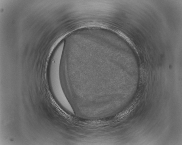 X0000067460791200605051620