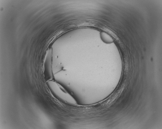 X0000067460793200605051620