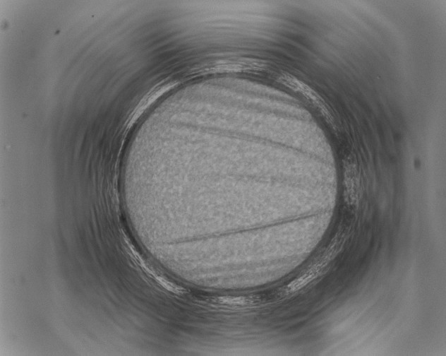 X0000067460794200605051620