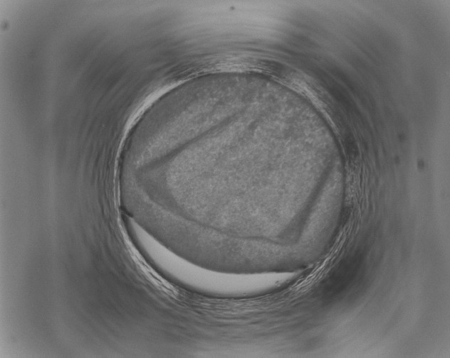 X0000067460795200605051620