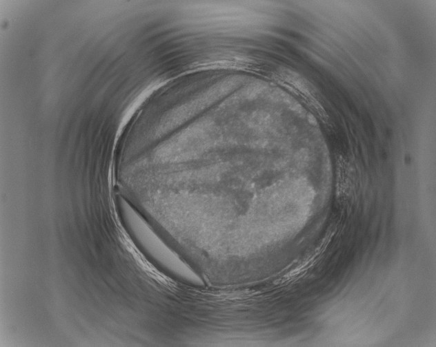 X0000067460796200605051620