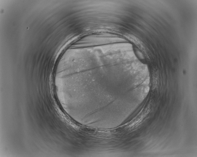 X0000067460798200605051620