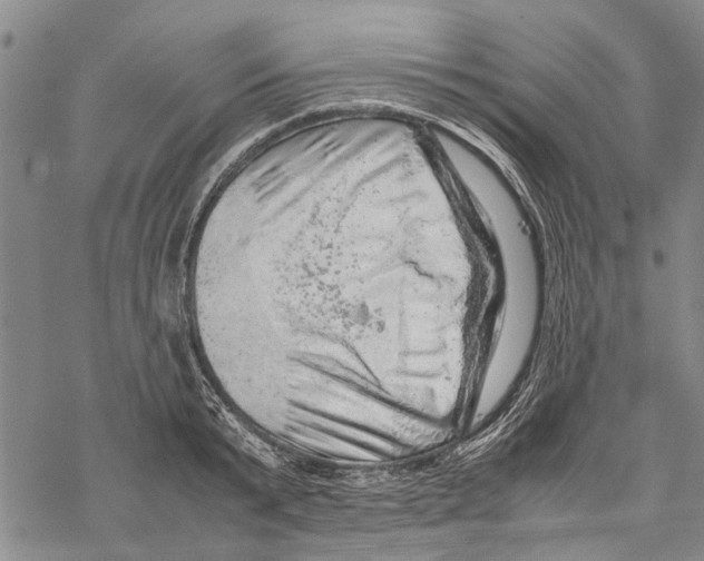 X0000067460799200605051620