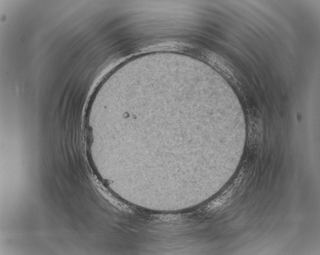 X0000067460800200605051620