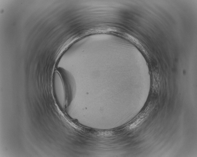 X0000067460802200605051620