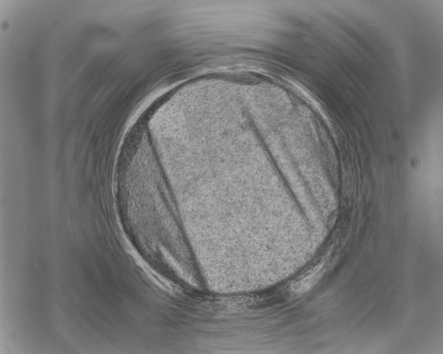 X0000067460803200605051620