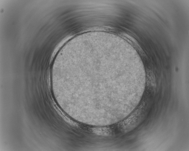 X0000067460804200605051620