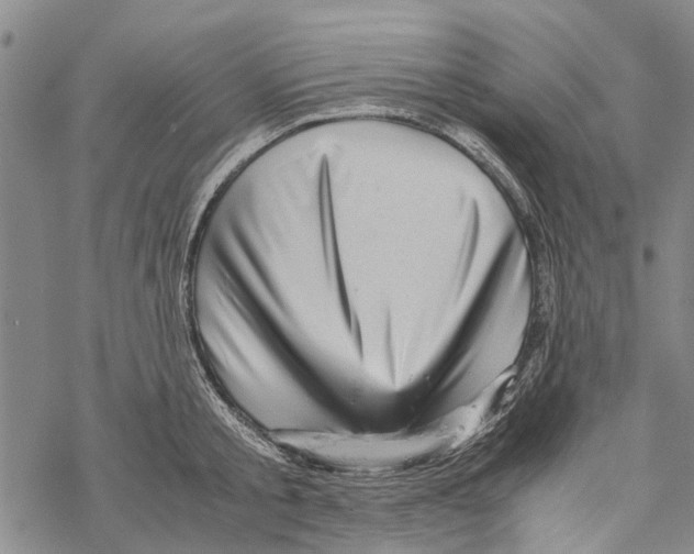 X0000067460805200605051620