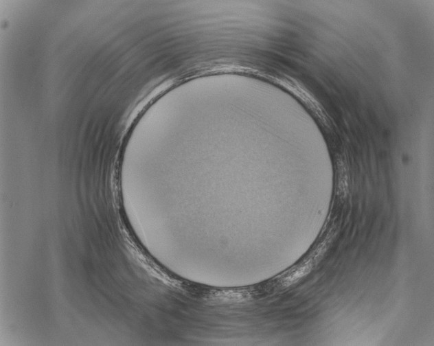 X0000067460806200605051620