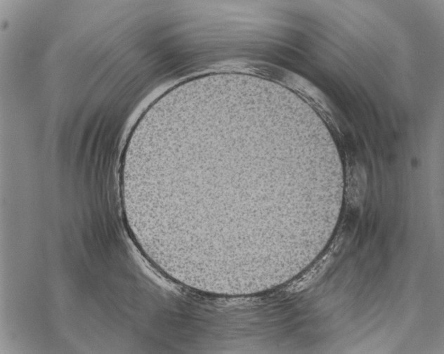 X0000067460808200605051620