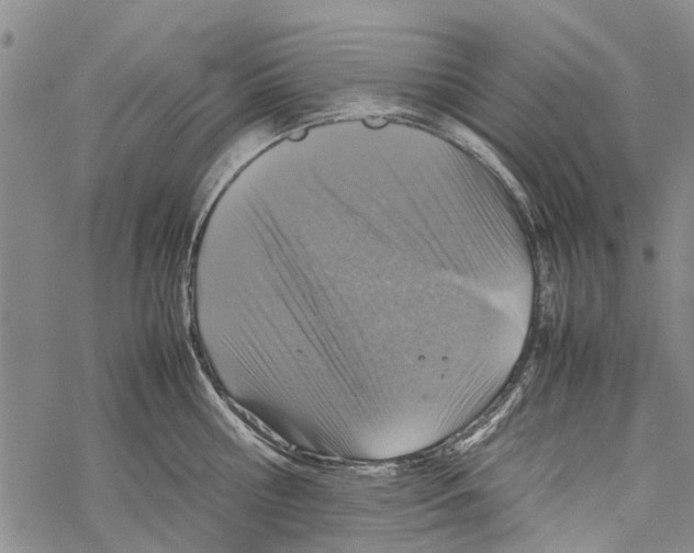 X0000067460810200605051620