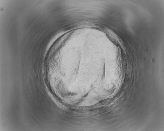 X0000067460811200605051620