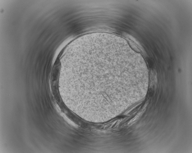 X0000067460812200605051620