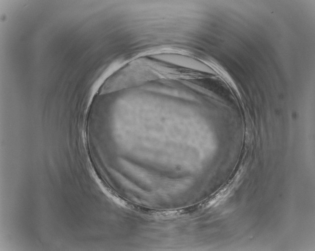 X0000067460813200605051620