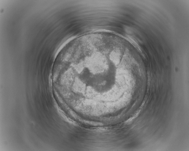 X0000067460814200605051620