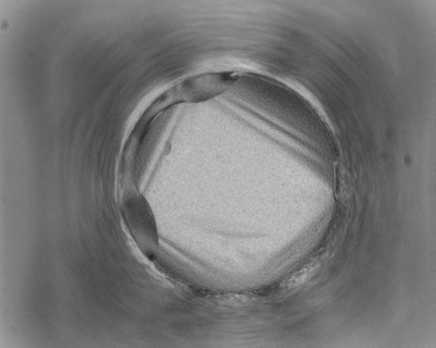 X0000067460815200605051620