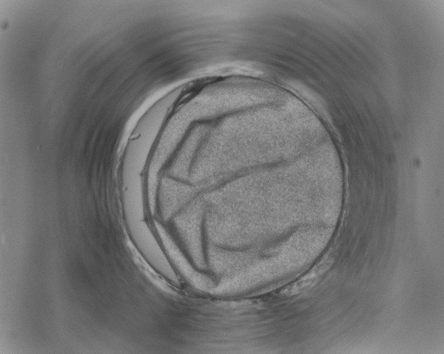 X0000067460816200605051620