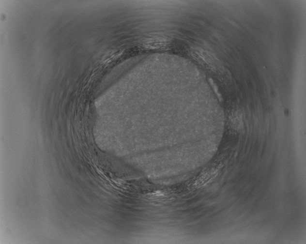 X0000067460817200605051619