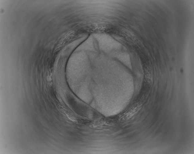 X0000067460818200605051619