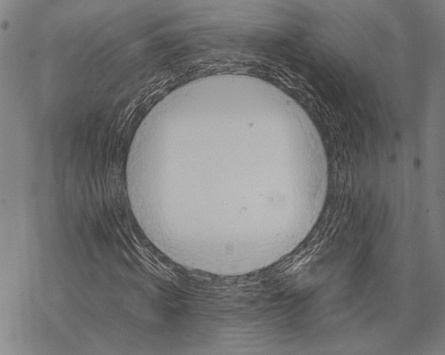 X0000067460820200605051619