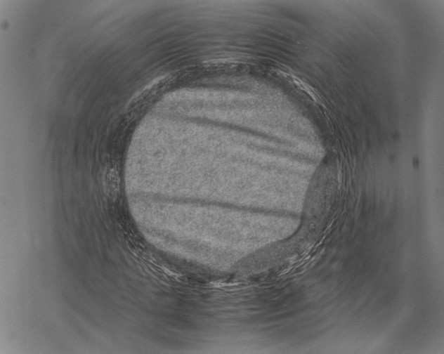 X0000067460821200605051619