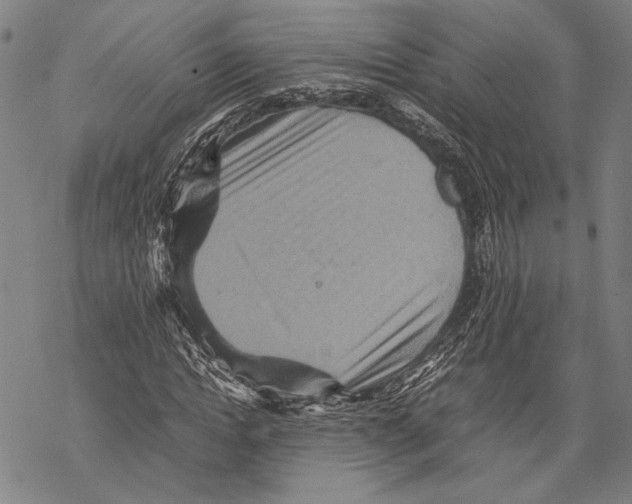 X0000067460822200605051619