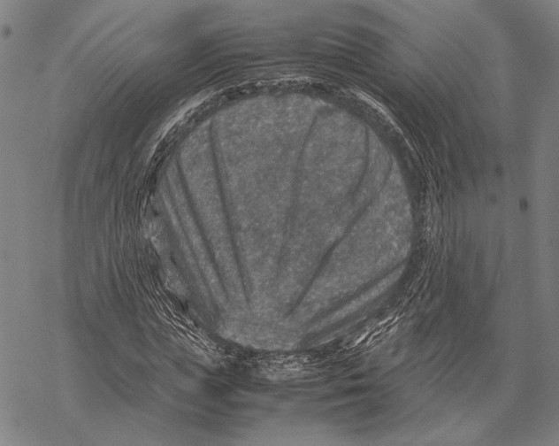 X0000067460823200605051619