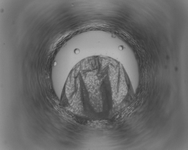 X0000067460824200605051619